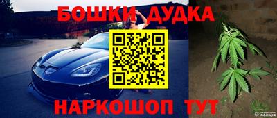 прущие грибы Севастополь