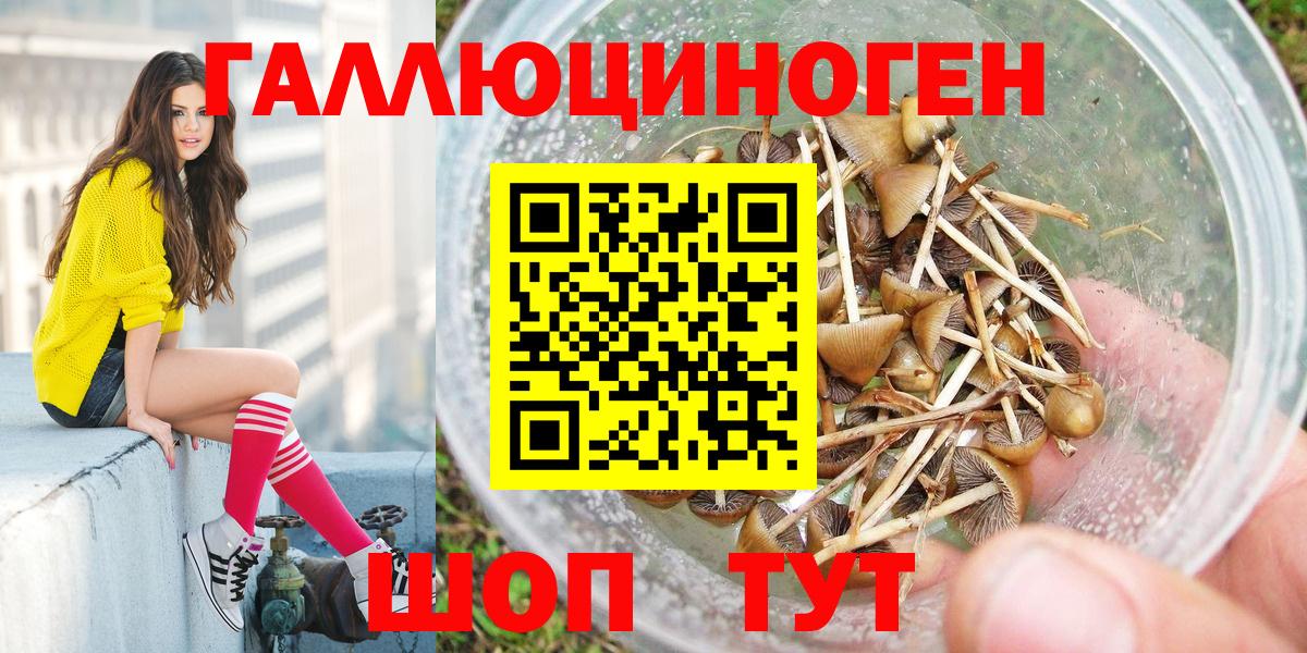 Галлюциногенные грибы GOLDEN TEACHER Подольск