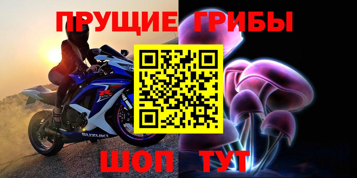 Подольск  Псилоцибиновые грибы GOLDEN TEACHER  наркота  Вход с VPN 